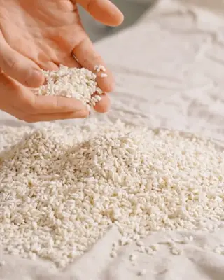 #6 Rice Koji - Part 2